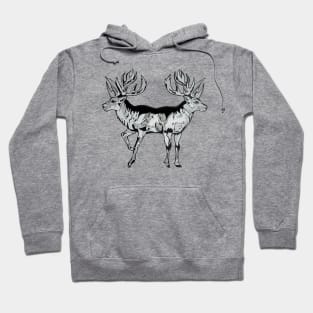 Magic Deer Hoodie